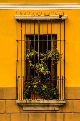 Los rostros de Antigua, Guatemala