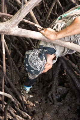 Los curiles ponen sabor a los paseos por el sur de Honduras