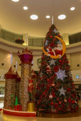 En PLAZA PEDREGAL hay un gran árbol navideño que es la sensación de la plaza por sus llamativos adornos y el rinconcito de Santa Claus.