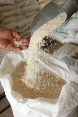 Industriales piden autorización para la importación de 440 mil quintales de arroz