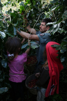 Retención de los nueve dólares divide al sector cafetalero de Honduras