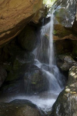 La Poza de la Paloma: Si desea disfrutar de un rico chapuzón en este municipio, visite este hermoso lugar a 10 minutos en auto desde el parque y luego recorre 30 minutos a pie.