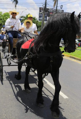 Las mejores imágenes del desfile del Agas