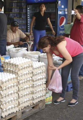 Cartón de huevo se cotiza a L65 y L70 en ahorro-ferias