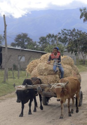 Misticismo en el altiplano, el esplendor en el Valle de Otoro