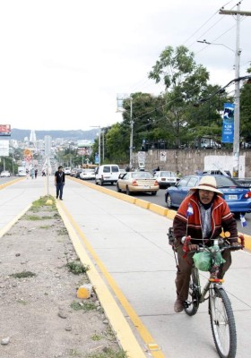 Trans 450 dejará L800,000 diarios a transportistas