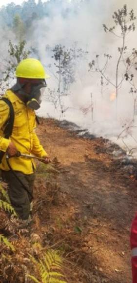 Las personas que trabajan para apagar el fuego se convierten en héroes sin capa para salvar los bosques y comunidades de Honduras. Foto: ICF