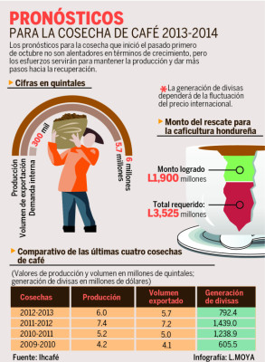 Mayor atención a caficultores permitirá mejorar la producción, dicen expertos