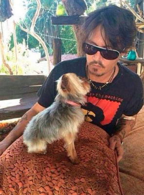 Johnny Depp abandona Australia para salvar a sus perros