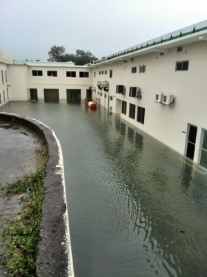 Foto: La Prensa