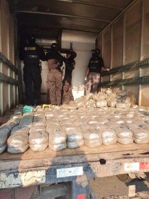 Otro golpe a la MS-13: Decomisan 600 libras de marihuana en un camión