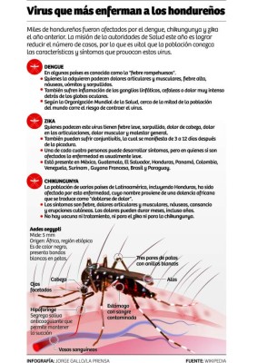 Dengue, zika y chikungunya arrodillan a los hondureños