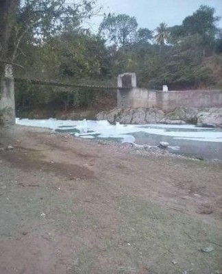 Ácido sulfónico que causó mortandad de peces en Copán es altamente tóxico