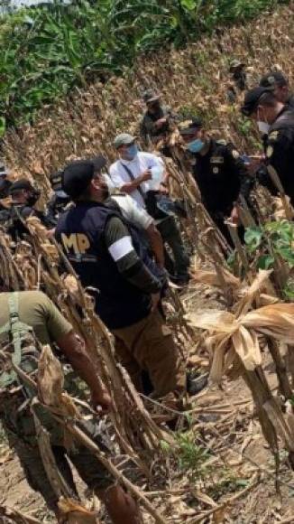 El accidente ocurrió cerca de la medianoche del martes en una zona rural del poblado indígena de Chisec, 130 km al norte de la capital, indicó Juan Carlos de Paz, vocero de las Fuerzas Armadas.