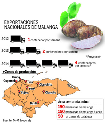 Exportaciones de malanga se duplicarán para 2014