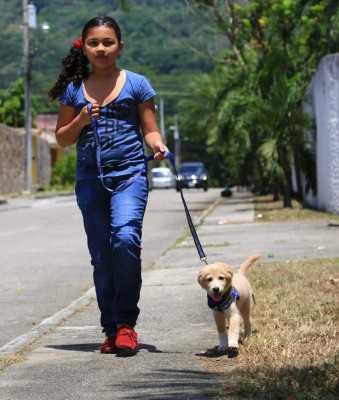 Foto: La Prensa