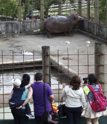 Foto: La Prensa