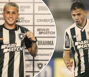 En las últimas horas estalló un escándalo en Botafogo de Brasil.