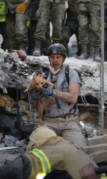 A rescuer pulls a dog out of the rubble during the search for survivors in Mexico City on September 20, 2017 after a strong quake hit central Mexico on the eve.<br/>A powerful 7.1 earthquake shook Mexico City on Tuesday, causing panic among the megalopolis' 20 million inhabitants on the 32nd anniversary of a devastating 1985 quake. / AFP PHOTO / Yuri CORTEZ