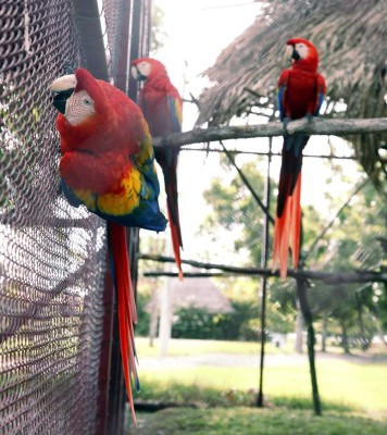 Trujillo y sus ocho maravillas en el Caribe de Honduras