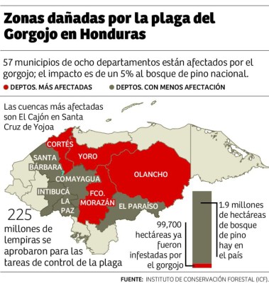 Foto: La Prensa