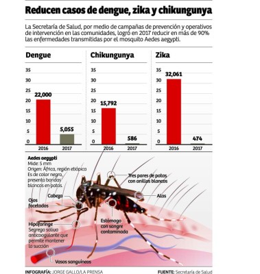 Sube a 59 la cifra de muertos por dengue hemorrágico