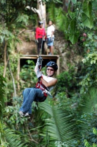 Para aquellos que disfrutan de las alturas en La Ceiba también pueden hacer canopy.