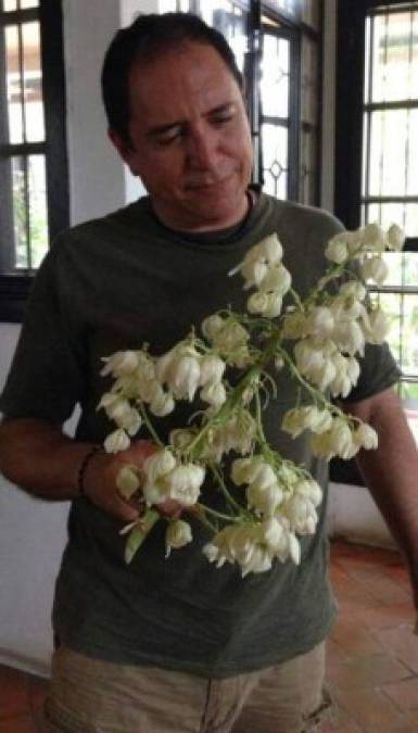 'A ver que amistades del occidente de Honduras reconocen esta flor', escribió Guillermo Anderson en su cuenta de Facebook.