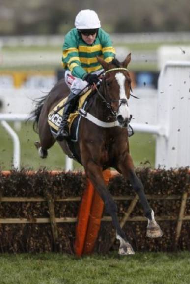 Carrera. <br/>Salto al primer lugar. Barry Geraghty monta a Shakira en su camino a ganar la Hurdle Race en el hipódromo de Cheltenham, Reino Unido.