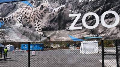 El zoo del Bronx permanece cerrado al público desde principios de marzo. Foto: AFP/Archivo