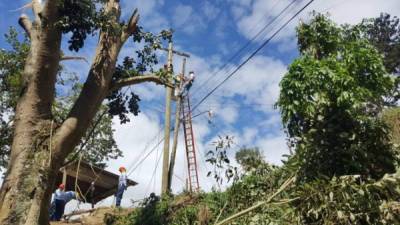 Cuadrillas de Energía Honduras realizan labores diariamente.