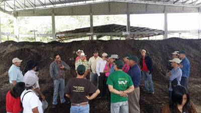 Productores e invitados en la planta paceña.