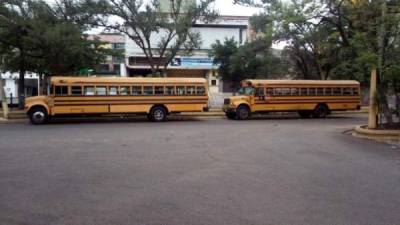 Dos buses amarillos participan en la paralización de labores en la capital.