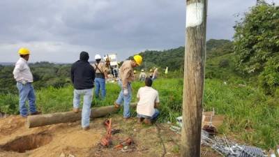 Empleados de la empresa Reco en un proyecto.