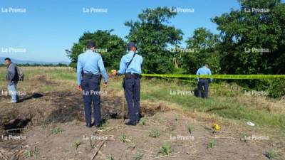 Los cuerpos fueron encontrados en estas fincas de caña de la comunidad de Agua Blanca Sur, El Progreso, Yoro.