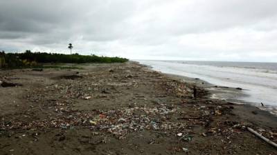 Impacto: la contaminación de las playas impacta en la salud y el turismo de la zona