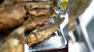 El pescado parecía listo para ser comido.