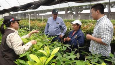 Las mipymes que sacaron préstamos antes de la pandemia podrán readecuar deudas.