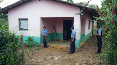 El producto fue hallado en Santa Cruz de Yojoa.