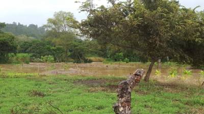 En Honduras, Eta ha causado lluvias con mucha intensidad.