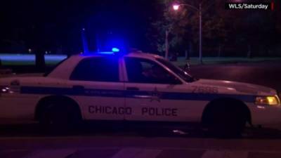 Varias partes del cadáver de un menor fueron descubiertas en un parque de Chicago.
