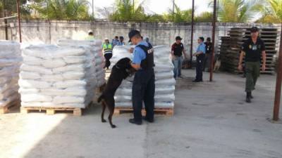 La Policía utilizó un perro entrenado para iniciar la inspección de los sacos.