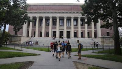 Varias universidades estadounidenses impartirán a distancia todas las clases del próximo año académico./