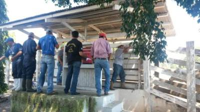 Autoridades hondureñas realizan el aseguramiento del Rancho Lima Corral, propiedad de la familia Rosenthal.