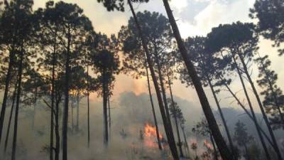 El incendio en el sector de El Hatillo comenzó en una zacatera de la colonia el sitio y se extendió por toda la montaña.