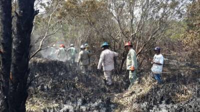 El incendio en el parque Jeannette Kawas duró cinco días.