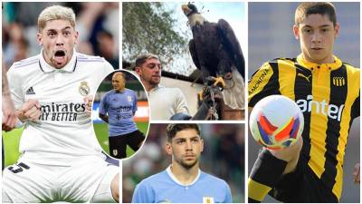 Conoce algunas de las curiosidades de Fede Valverde, próximo a debutar en Mundiales con la Selección de Uruguay. ¿Qué vínculo tiene con Fabián Coito?