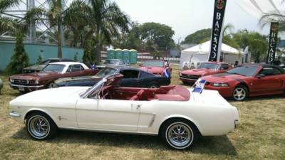 Alrededor de 500 autos clásicos y antiguos hay en Honduras. Foto: LA PRENSA