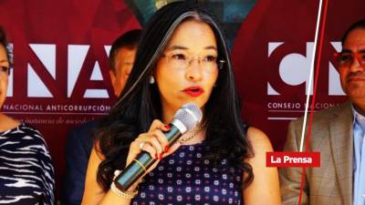 La entidad tituló el informe como “La ilusión solidaria del Bonosupro”. En imagen, Gabriela Castellanos, titular del CNA.