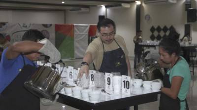 Etapa nacional 144 lotes de cafés fueron seleccionados para participar en la primera etapa, 40 pasaron a la etapa final.